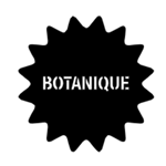 https://botanique.be/fr